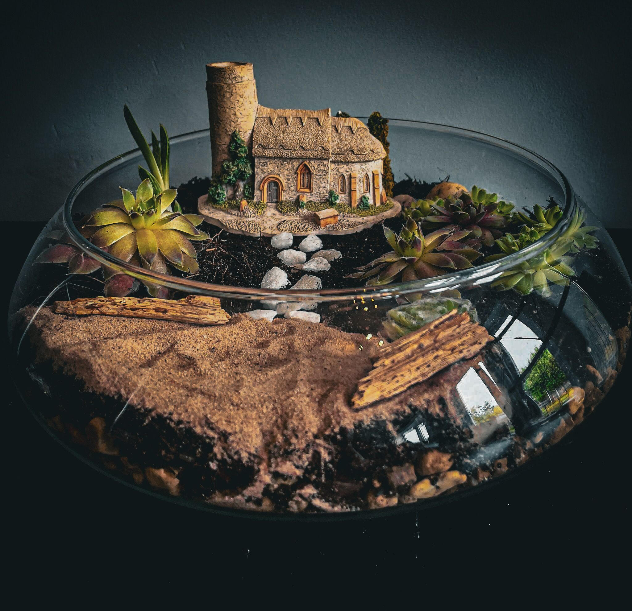 Terrarium: A Miniature World of Greenery, by qooplants